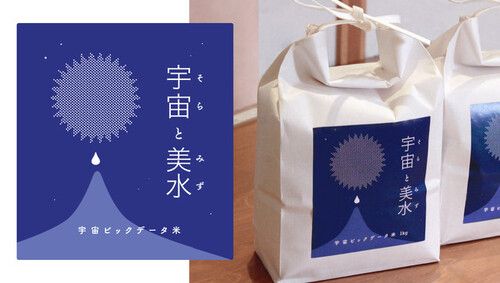 富山県で生産された宇宙ビッグデータ米「宇宙（そら）と美水（みず）」は、今年も12月に販売予定。&nbsp; &nbsp; &nbsp; 天地人 提供<br>