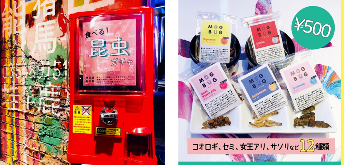 The capsule toy dispenser at Kome to Circus restaurant. As well as packets of insects, it sometimes dispenses a “lucky ticket” for cider infused with extract of giant water bug.&nbsp; &nbsp; &nbsp; Source: Kome to Circus