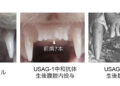 Antibodies that grow teeth in wild-type mice. Source: Toregem Biopharma