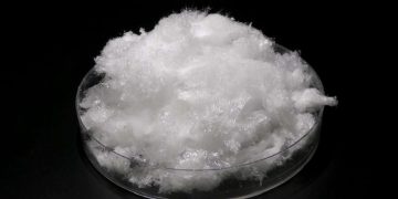 世界が渇望する日本発バイオ素材、2026年6月の市場投入へ