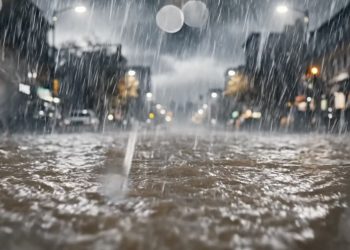 都市型フラッシュ洪水を24時間前に予測　AIが挑む「避難の遅れ」