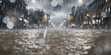 都市型フラッシュ洪水を24時間前に予測　AIが挑む「避難の遅れ」